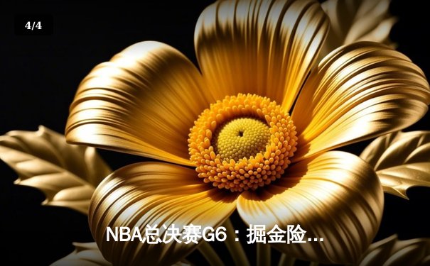 NBA总决赛G6：掘金险胜热火，约基奇三双率队卫冕成功 - 4